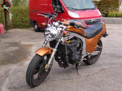 Suzuki  1988
