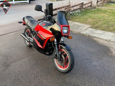 Suzuki  1984