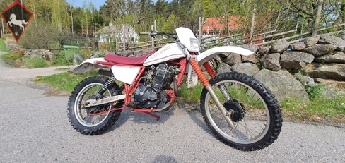 Suzuki  1981
