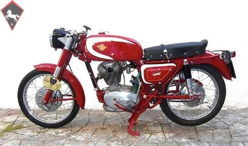 Ducati  1966