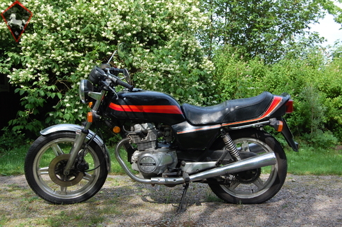 Honda  1981