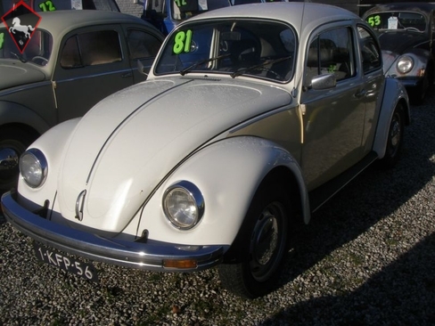 Volkswagen Beetle Typ1 1981