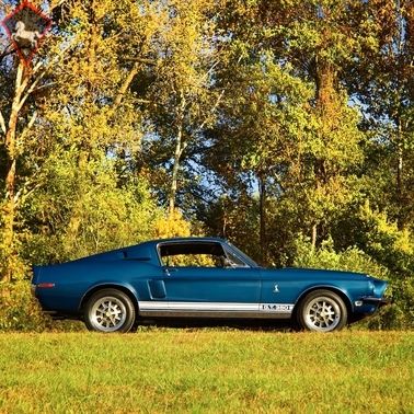 Shelby GT 350 1968
