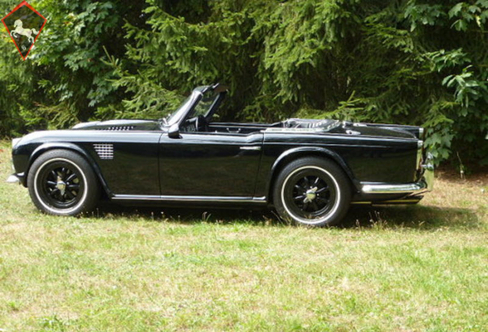 TRIUMPH TR4 TR5 TR6 1962-76 Flexi Piatto Spazzole X2