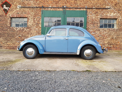 Volkswagen Beetle Typ1 1958
