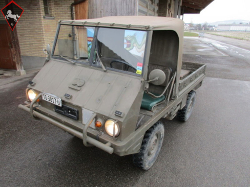 Pinzgauer Other 1962
