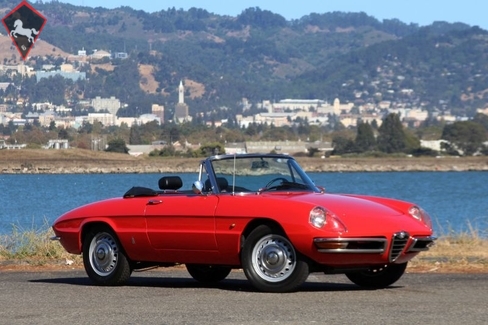 Alfa Romeo Spider Duetto 1967