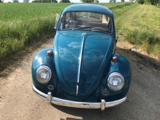 Volkswagen Beetle Typ1 1964