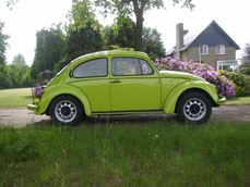 Volkswagen Beetle Typ1 1984