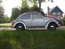 Volkswagen Beetle Typ1 1981
