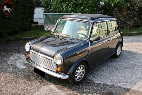 Mini 1300 1994