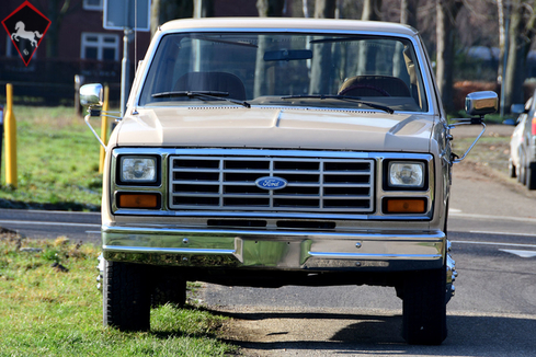 Ford F-250 1983