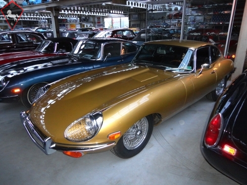 Jaguar Other 1969