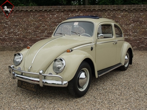 Volkswagen Beetle Typ1 1964