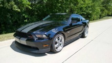 Ford ST Racing Carbonfaser Sicherheitsgurt-Pads