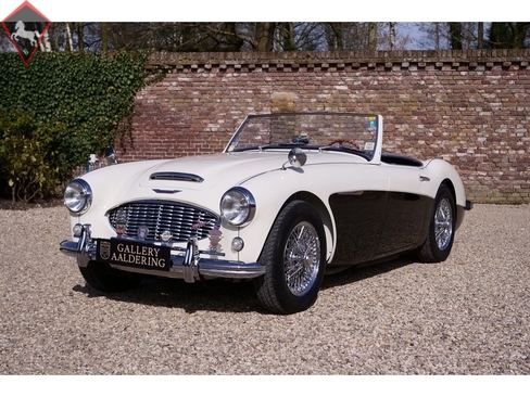 Austin-Healey 3000 1959