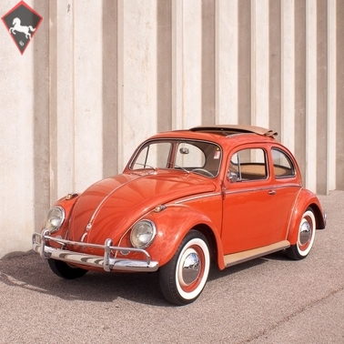 Volkswagen Käfer Typ1 1959
