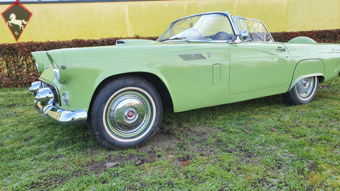 Ford Thunderbird 1954