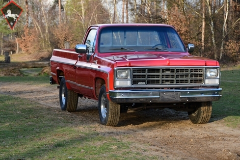 Chevrolet Pick Up 1980