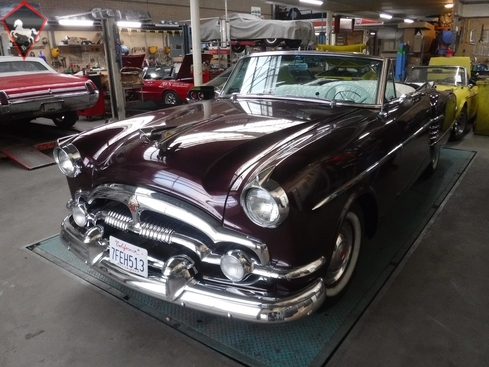 Packard Other 1954