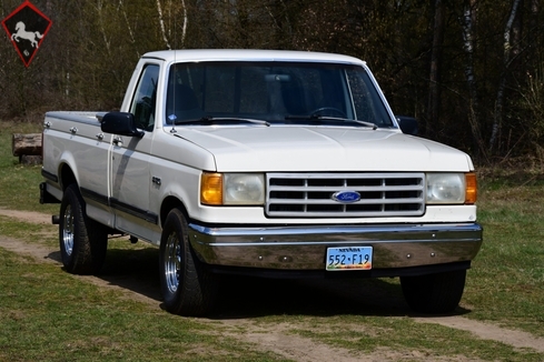 Ford F-100 1989