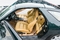 Click here to enlarge