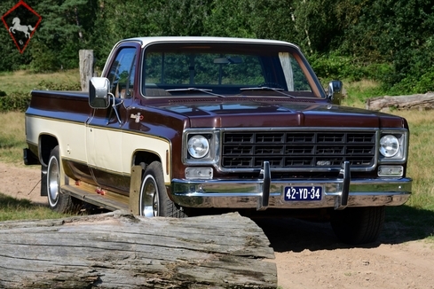 Chevrolet Pick Up 1977