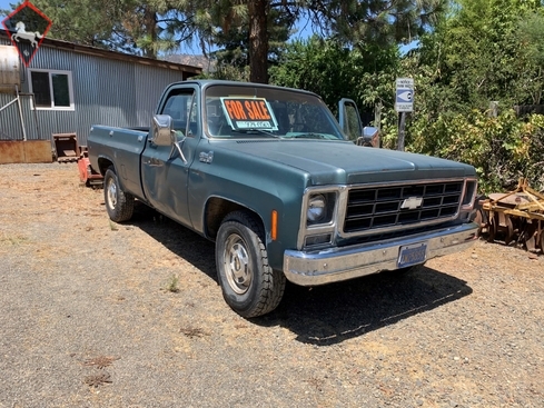 Chevrolet Other 1979