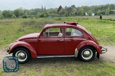 Volkswagen Beetle Typ1 1963