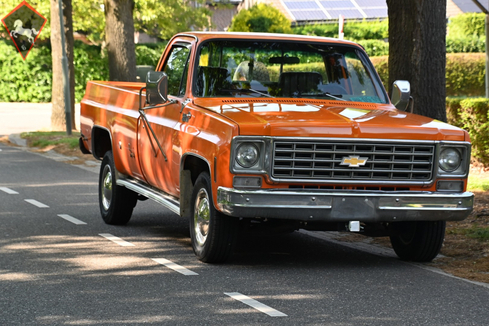 Chevrolet Pick Up 1976