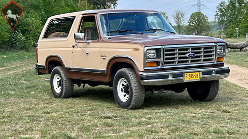 Ford Bronco 1985