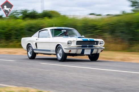 Shelby GT 350 1966
