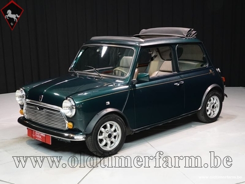 Mini 1300 1993