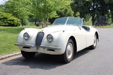 Jaguar XK120 1951