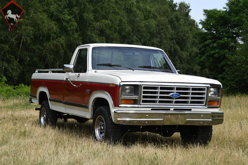 Ford Pick Up 1986