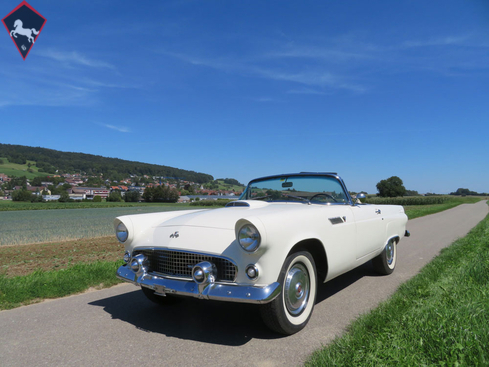 Ford Thunderbird 1955