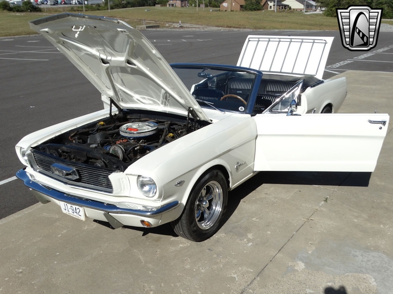 1966 Ford Mustang is listed For sale on ClassicDigest in Memphis by