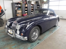 Jaguar Other 1959