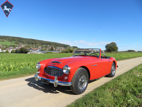 Austin-Healey 3000 1961