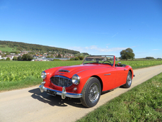 Austin-Healey 3000 1961