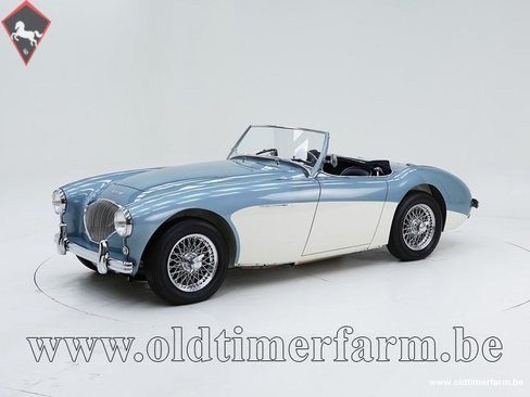 Austin-Healey 100 1954