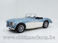 Austin-Healey 100 1954