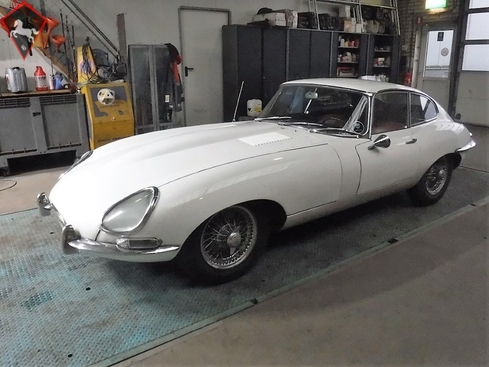 Jaguar Other 1964