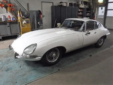 Jaguar Other 1964