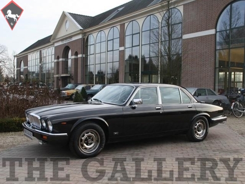 Jaguar XJ12 1982