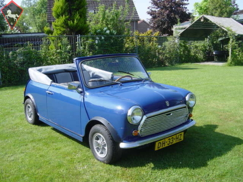 Mini Other 1979