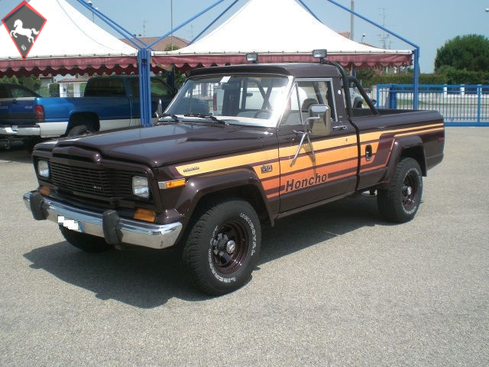 Jeep Wagoneer 1980