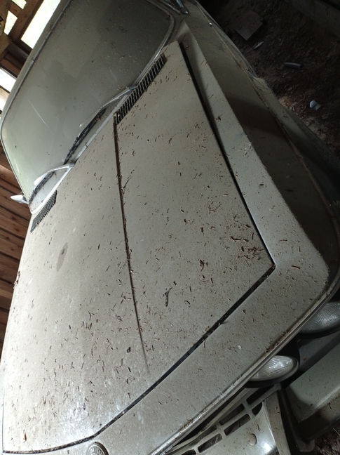 "Barn find" E9 Sharknose