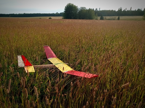 Eclipse vintage glider