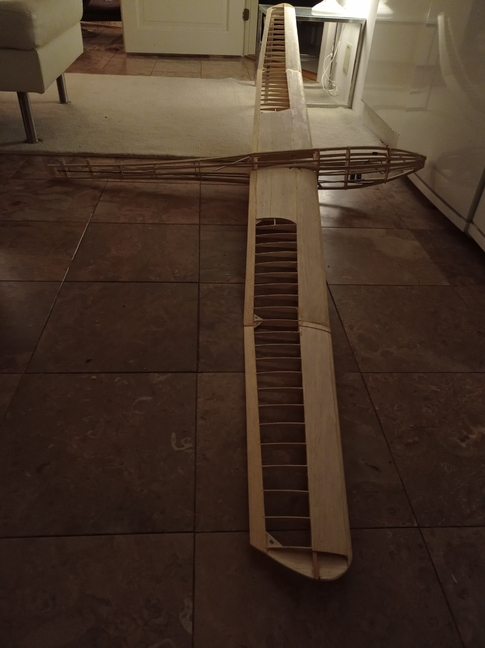 Vintage soarer wing and fuselage